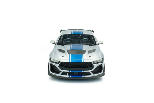 SHELBY MUSTANG SUPER SNAKE – GREY – 2025 (SOLIDO, S1813803) 2