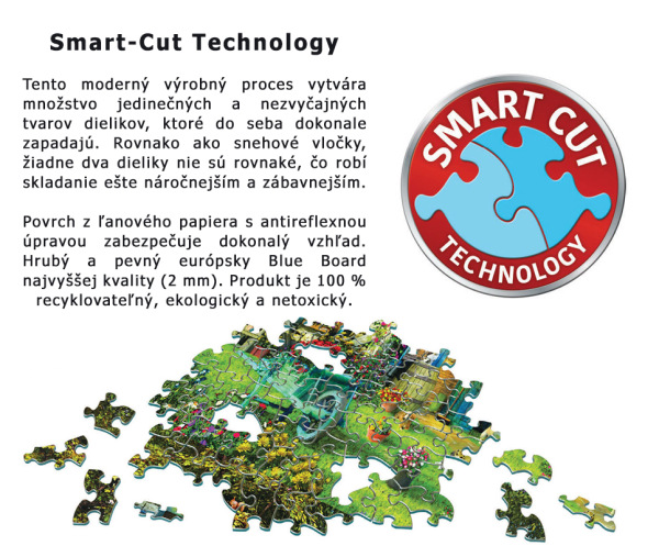 VW Beach Fun - 1000 dielikov 2