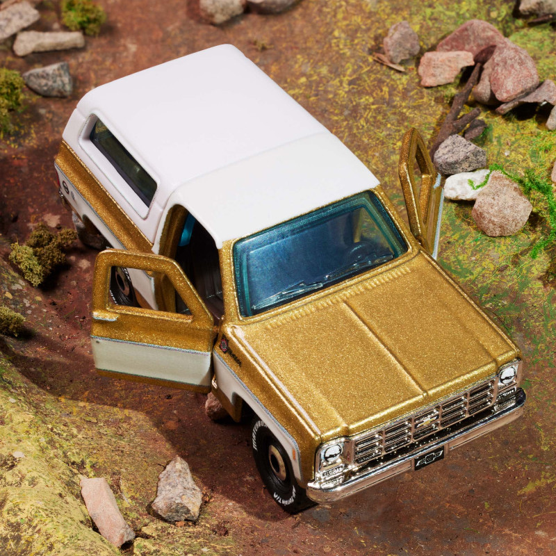 1979 Chevy Blazer 8