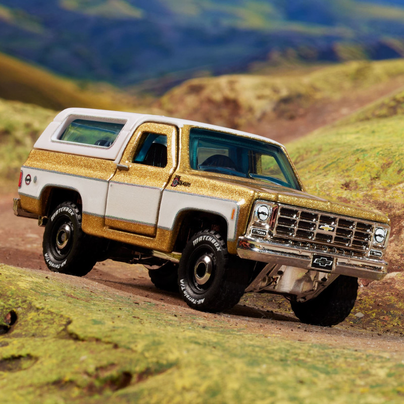 1979 Chevy Blazer 6